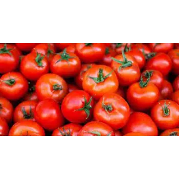 Natural Fresh Tomato