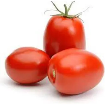 Natural Fresh Tomato