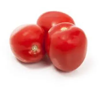 Common Fresh Tomato