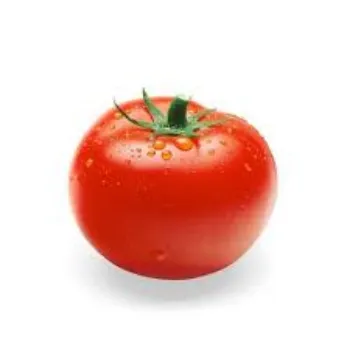 Organic Fresh Tomato