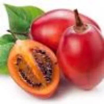 Organic Fresh Tomato