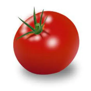 Common Fresh Tomato