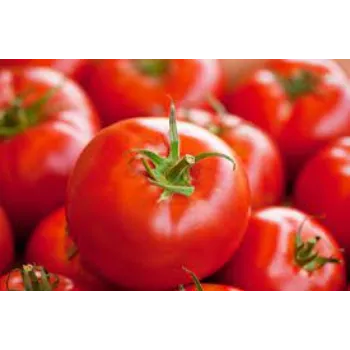 Natural Fresh Tomato