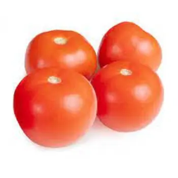 Common Fresh Tomato