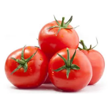 Fresh Tomato