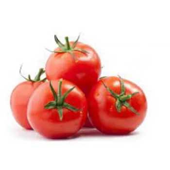 Common Fresh Tomato