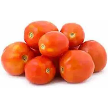 Common Fresh Tomato