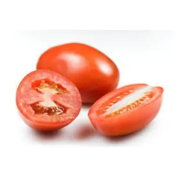 Common Fresh Tomato