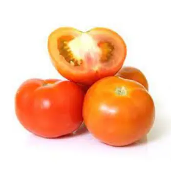Organic Fresh Tomato