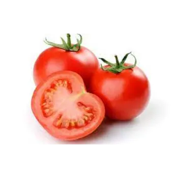 Organic Fresh Tomato