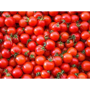 Natural Fresh Tomato