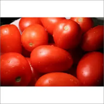 Natural Fresh Tomato