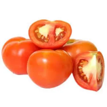 Common  Fresh Tomato
