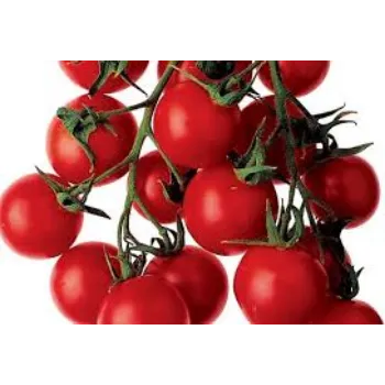 Natural Fresh Tomato
