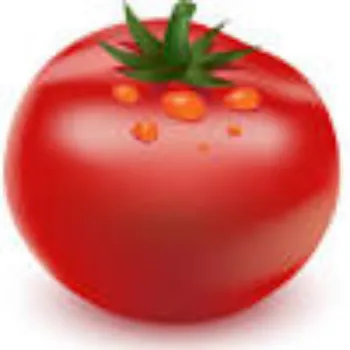 Natural Fresh Tomato