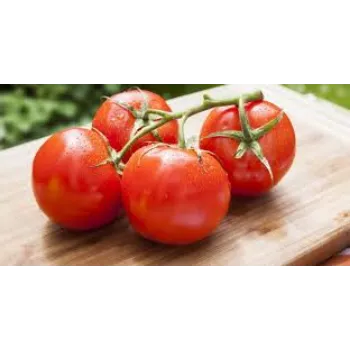 Organic Fresh Tomato