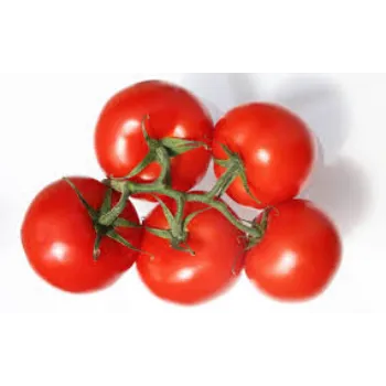 Organic Fresh Tomato