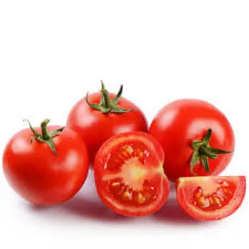 Common Fresh Tomato