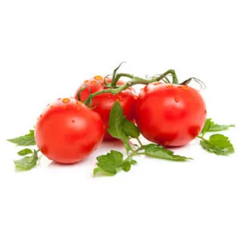 Fresh Tomato