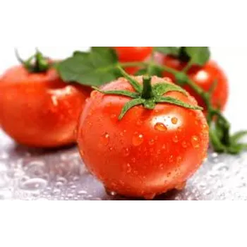 Natural Fresh Tomato