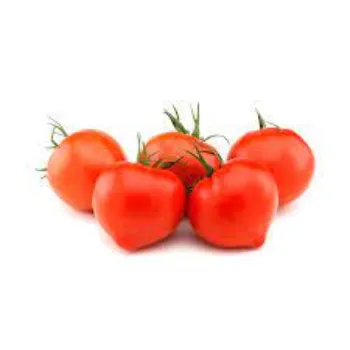 Fresh Tomato
