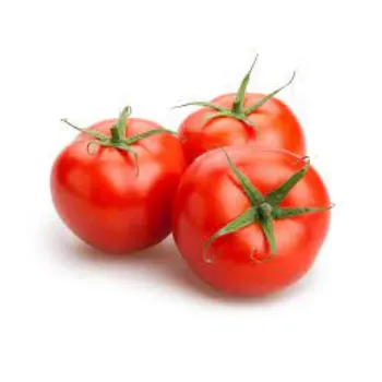 Natural Fresh Tomato