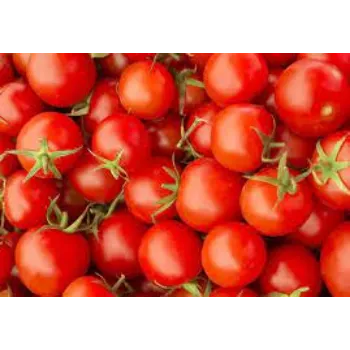 Natural Fresh Tomato