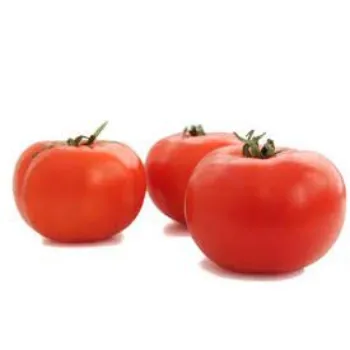 Organic Fresh Tomato
