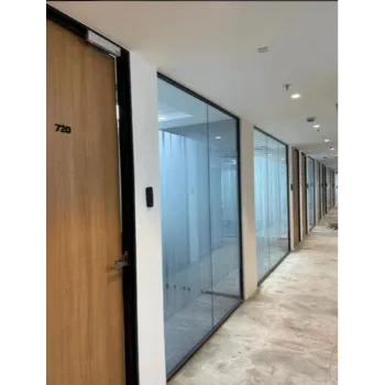 Plain Toughened Glass Doors