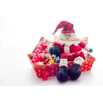 Spotless Toys Basket 