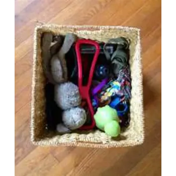 Toys Basket