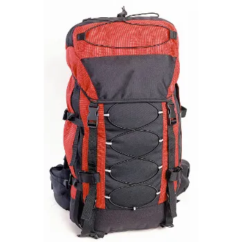 Cosmos Travel Backpack