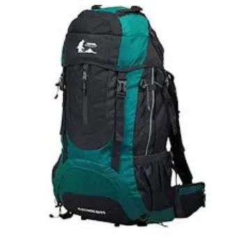 Polyester Travel Backpack