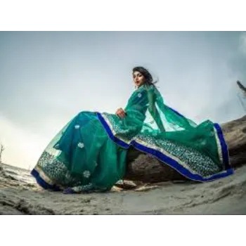 Trendy Ladies Sarees