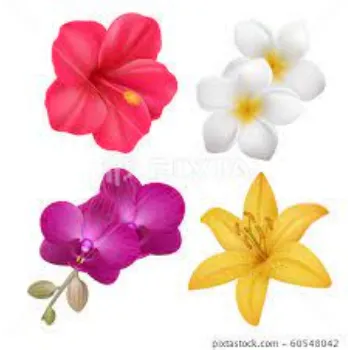 Organic Tropical Flowers