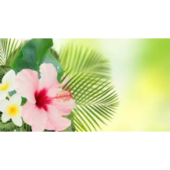 Common Tropical Flowers