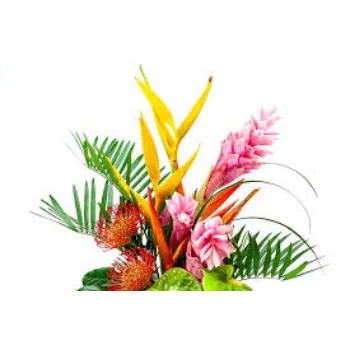 Roshni Agri forestry  Tropical Flower