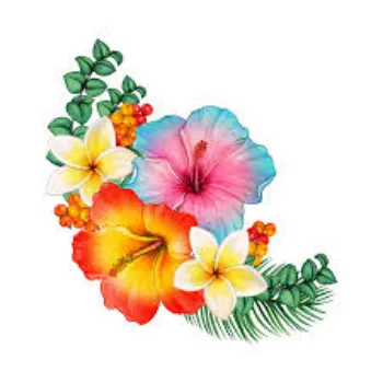 Fresh   Tropical Flower