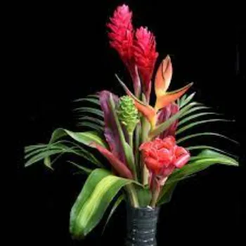 Red Tropical Flower