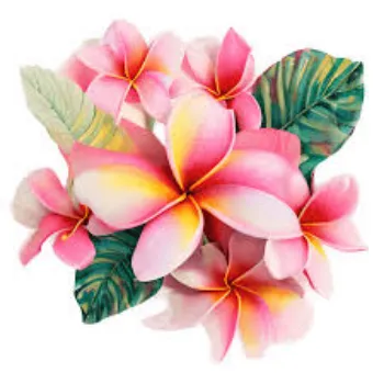 Fresh Tropical Flower