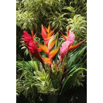 A.p. Flower Mart  Tropical Flower