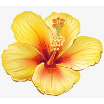 Fresh Tropical Flowers
