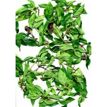  Dried Tulsi Leaves