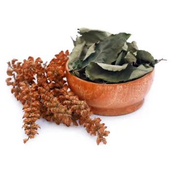 Organic Dried Tulsi Leaves