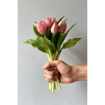 Fresh Tulip Flower