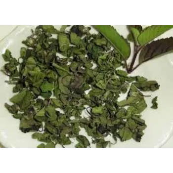Natural Dried Tulsi Leaves