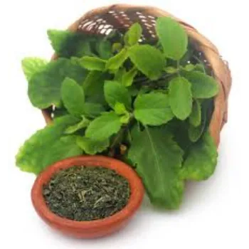 Organic Dried Tulsi Leaves