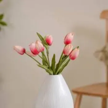 Organic Tulip Flower