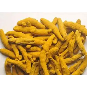 Natural Turmeric Finger Manufacturer