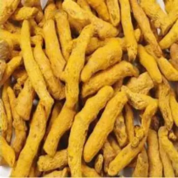 Turmeric Finger Manufacturer